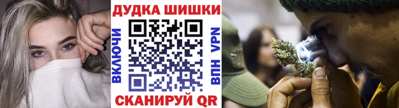 где можно купить   Козельск  Конопля Amnesia 
